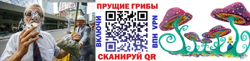 Купить закладки  Нерчинск  Псилоцибиновые грибы Cubensis 